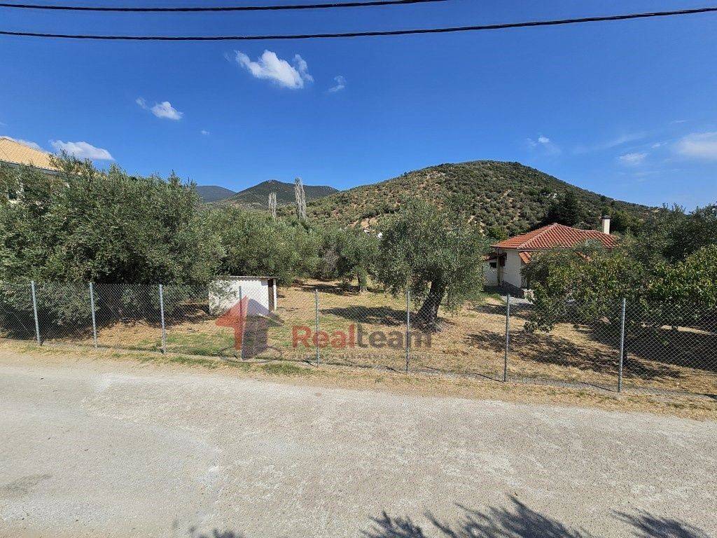 Εξωτερικοι χώροι