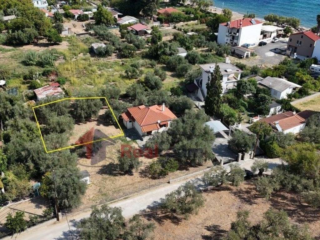 Εξωτερικοι χώροι