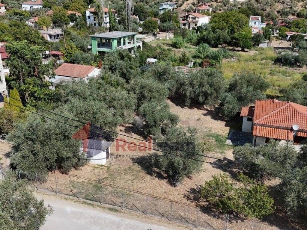 Εξωτερικοι χώροι