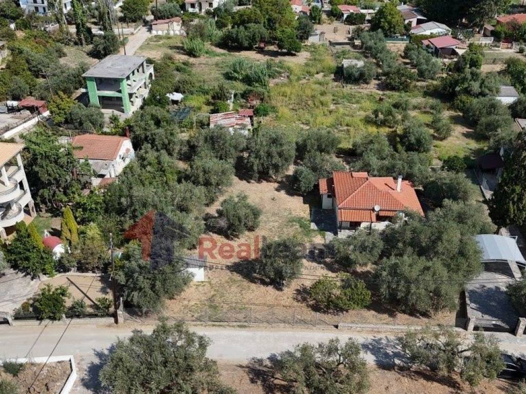 Εξωτερικοι χώροι