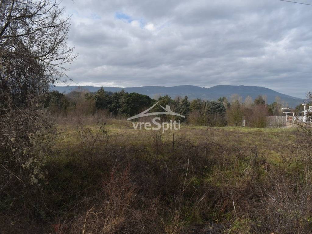 ΑΠΟΨΗ ΑΓΡΟΤΕΜΑΧΙΟΥ