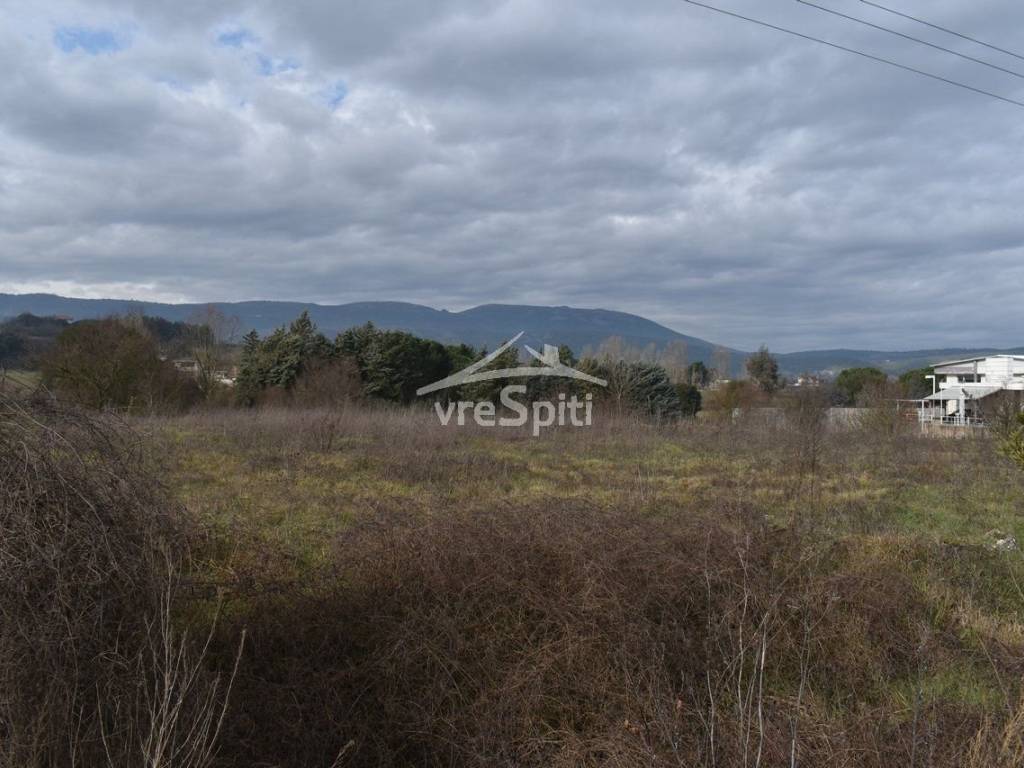 ΑΠΟΨΗ ΑΓΡΟΤΕΜΑΧΙΟΥ