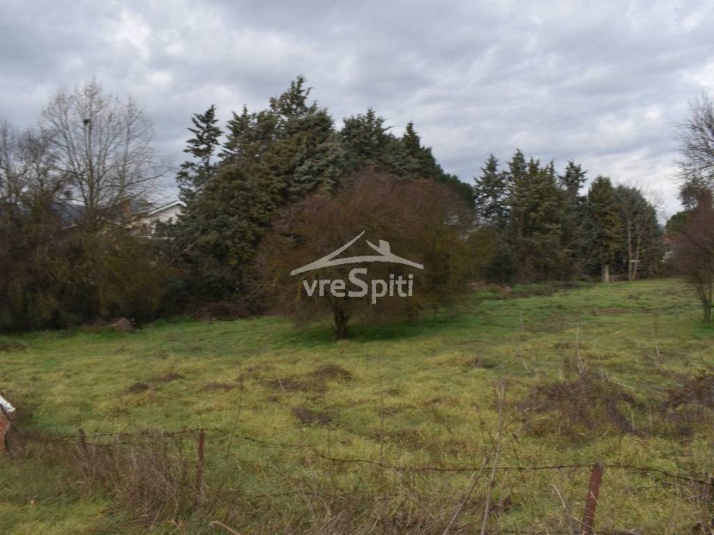 ΑΠΟΨΗ ΑΓΡΟΤΕΜΑΧΙΟΥ