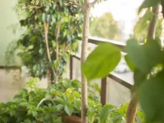 Ύπαρξη ανθρώπου