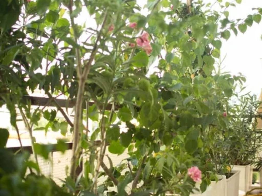 Θέα από μπαλκόνι