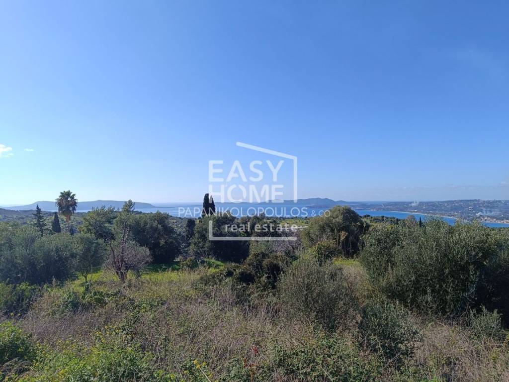 Εξωτερικοι χώροι