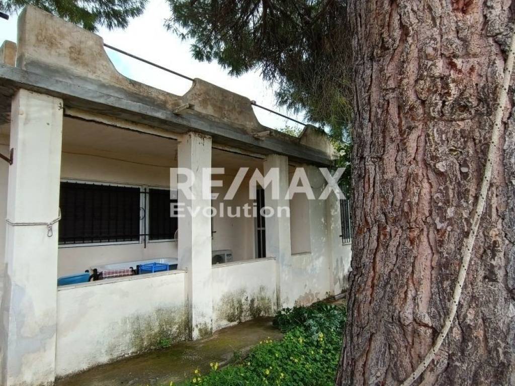 Εξωτερικός χώρος