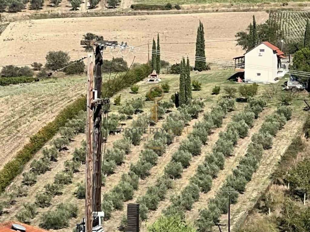 Ύπαρξη ανθρώπου