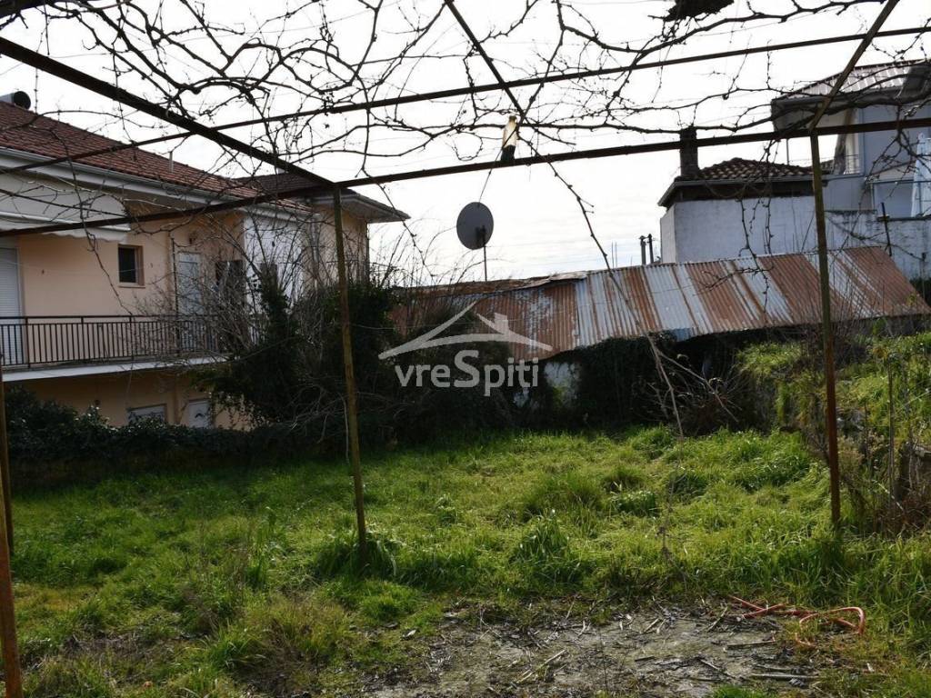 ΑΠΟΨΗ ΟΙΚΟΠΕΔΟΥ