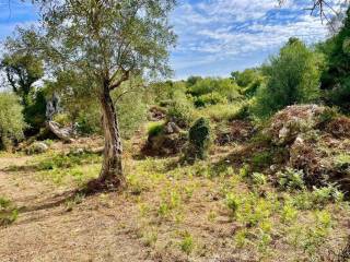 Plot - Grekodom 64098|1009557