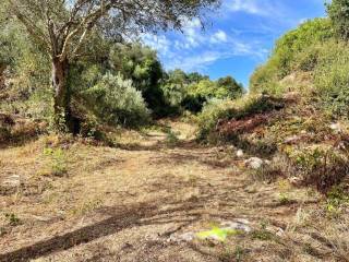 Plot - Grekodom 64098|1009558