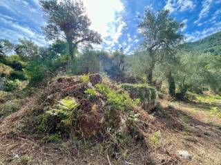 Plot - Grekodom 64098|1009559