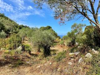 Plot - Grekodom 64098|1009564