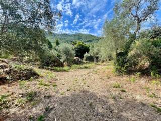 Plot - Grekodom 64098|1009561