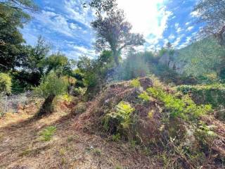 Plot - Grekodom 64098|1009562