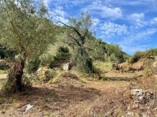 Plot - Grekodom 64098|1009563