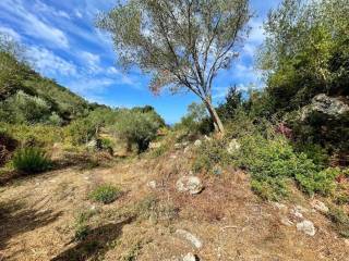 Plot - Grekodom 64098|1009566