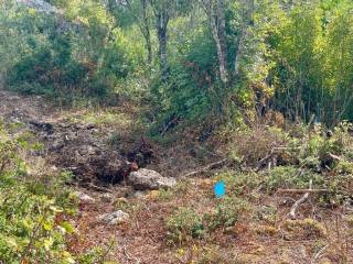 Plot - Grekodom 64098|1009567