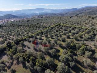 Εξωτερικοι χώροι