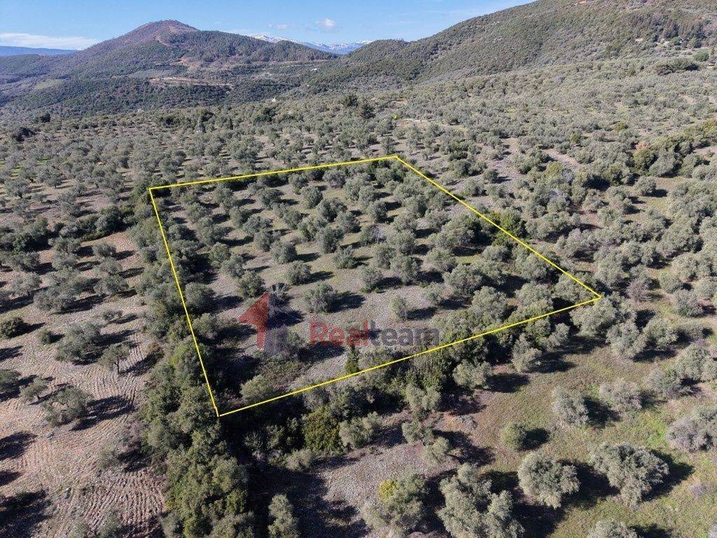 Εξωτερικοι χώροι