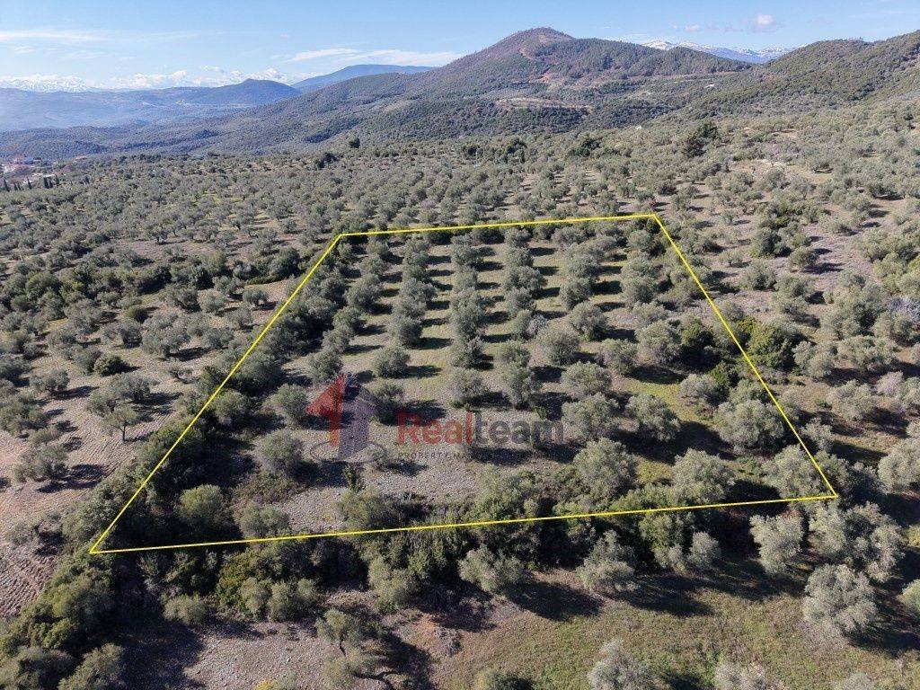 Εξωτερικοι χώροι