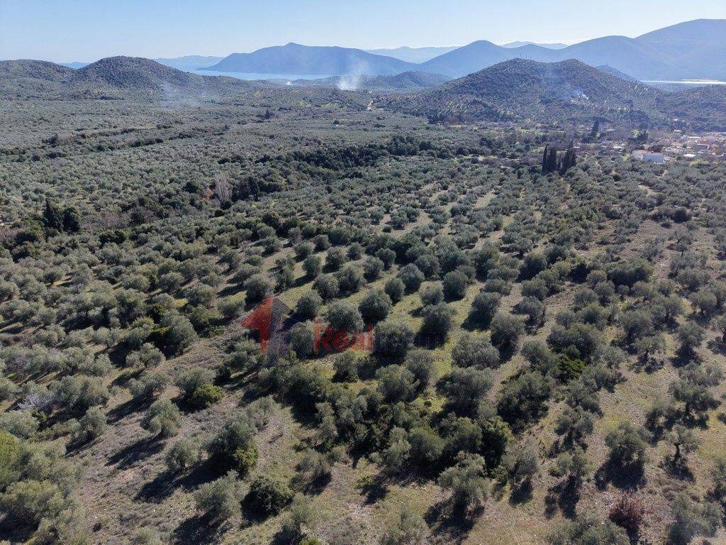 Εξωτερικοι χώροι