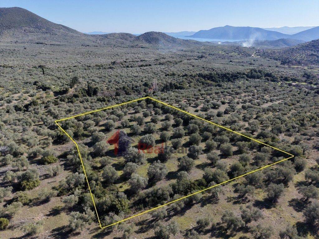 Εξωτερικοι χώροι