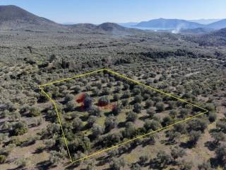 Εξωτερικοι χώροι