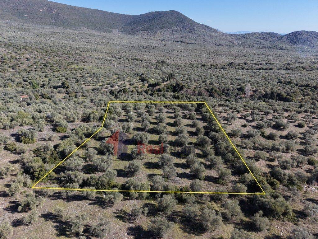 Εξωτερικοι χώροι