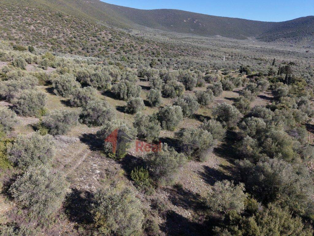 Εξωτερικοι χώροι