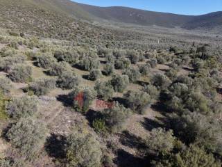 Εξωτερικοι χώροι