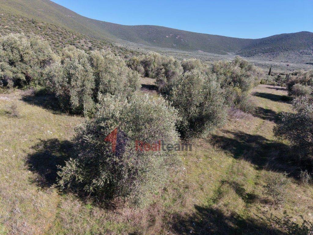 Εξωτερικοι χώροι