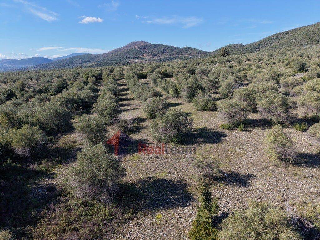 Εξωτερικοι χώροι