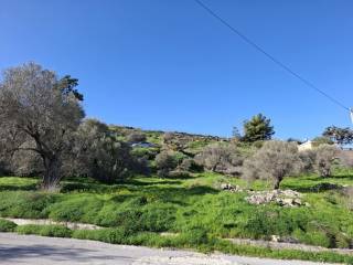 Plot - Grekodom 65362|1044983