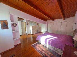 1* Y/D DICHORO ME MPANIO ,37TM -SOPHITA