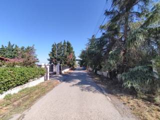 Plot - Grekodom 56324|799869