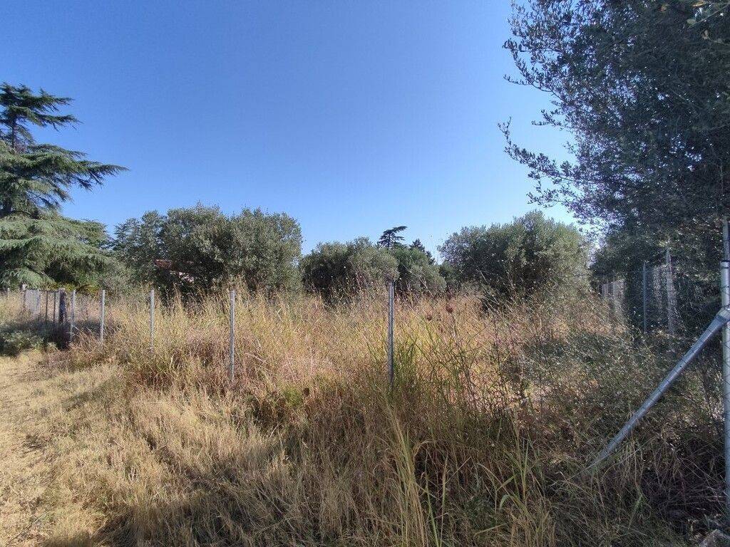 Plot - Grekodom 56324|799871