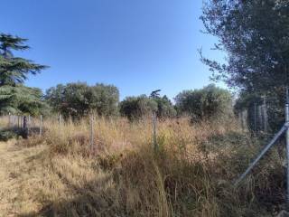 Plot - Grekodom 56324|799871