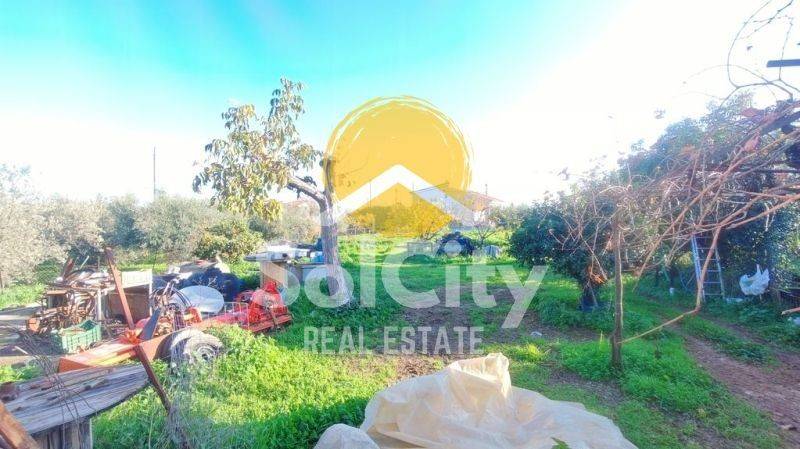 Ύπαρξη ανθρώπου