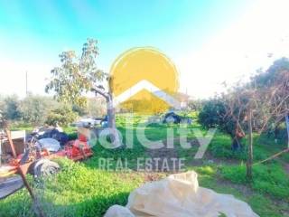 Ύπαρξη ανθρώπου