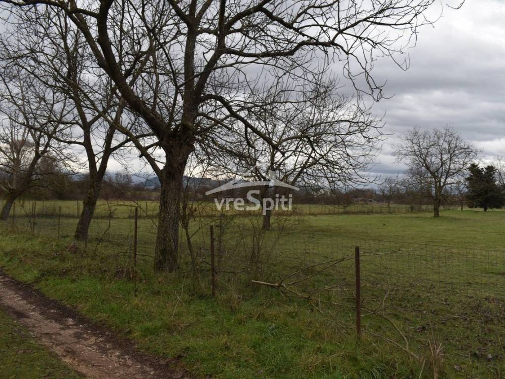 ΑΠΟΨΗ ΑΓΡΟΤΕΜΑΧΙΟΥ