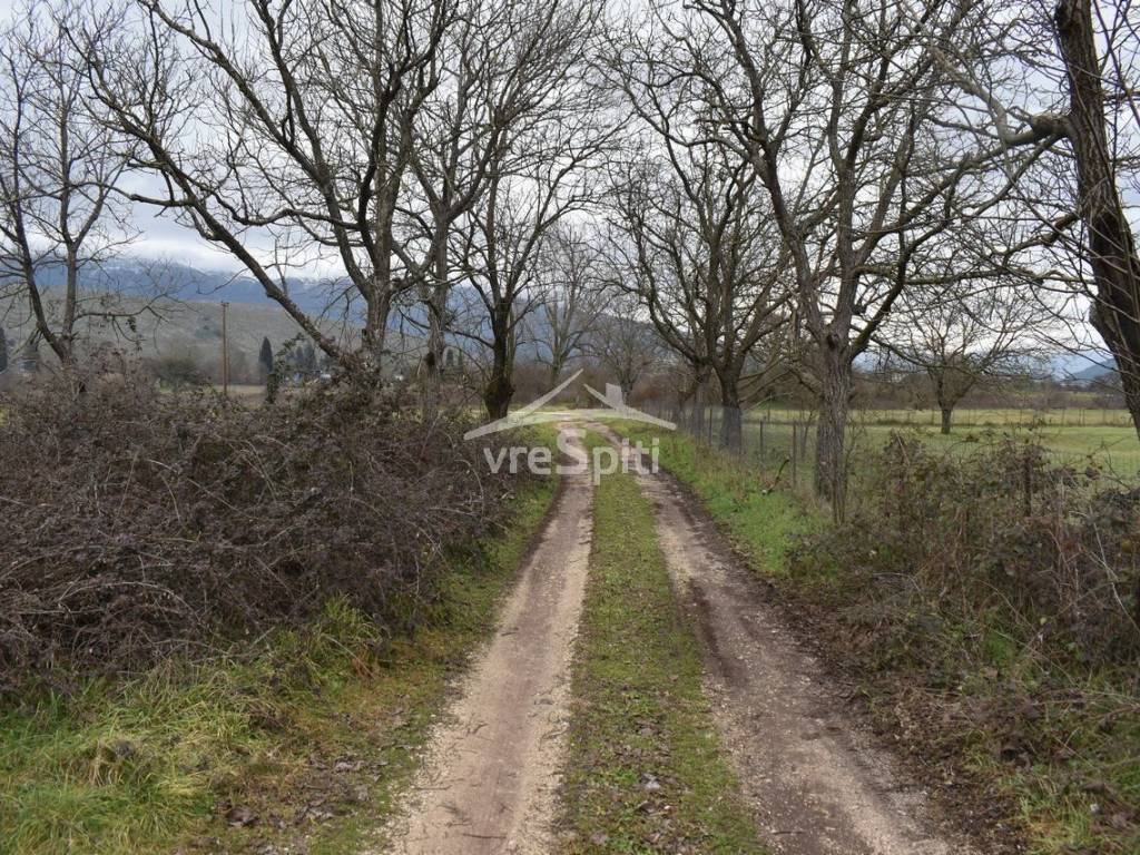 ΑΠΟΨΗ ΑΓΡΟΤΕΜΑΧΙΟΥ