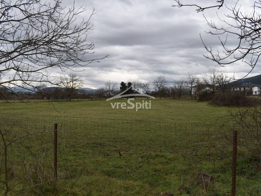 ΑΠΟΨΗ ΑΓΡΟΤΕΜΑΧΙΟΥ