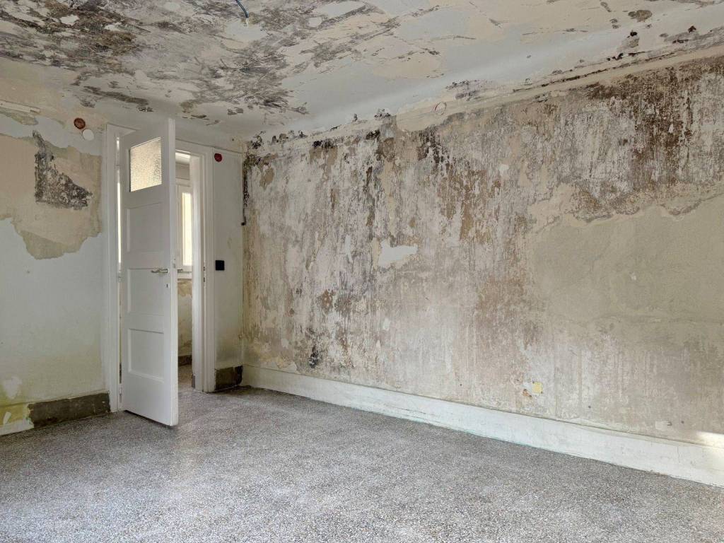 mouseio_residential_apartment_for_rent