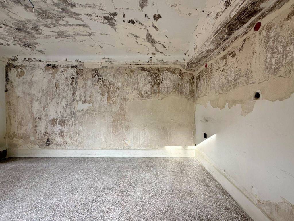 mouseio_residential_apartment_for_rent