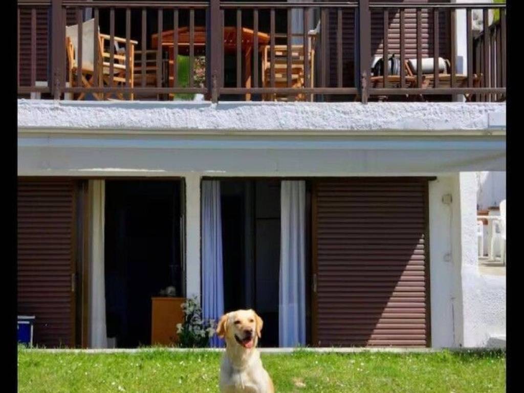 Maisonette - Grekodom 65370|1045115