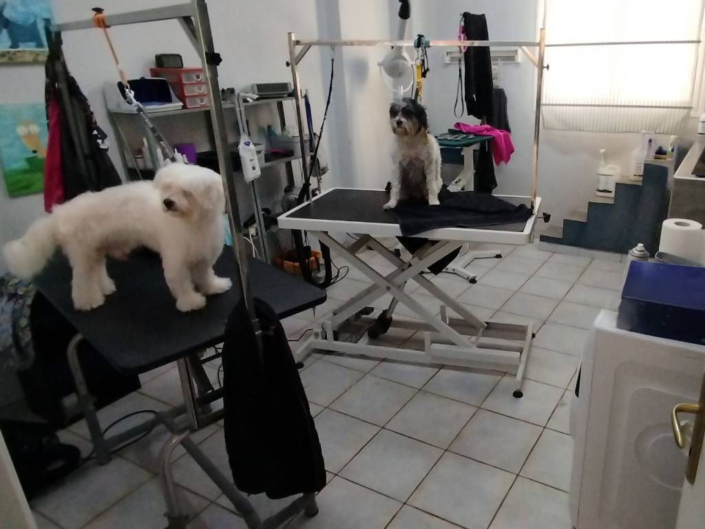 ΚΥΡΙΟΣ ΧΩΡΟΣ ΕΡΓΑΣΙΑΣ