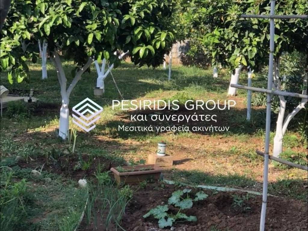 Ύπαρξη ανθρώπου