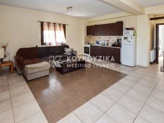 Σαλοκουζίνα