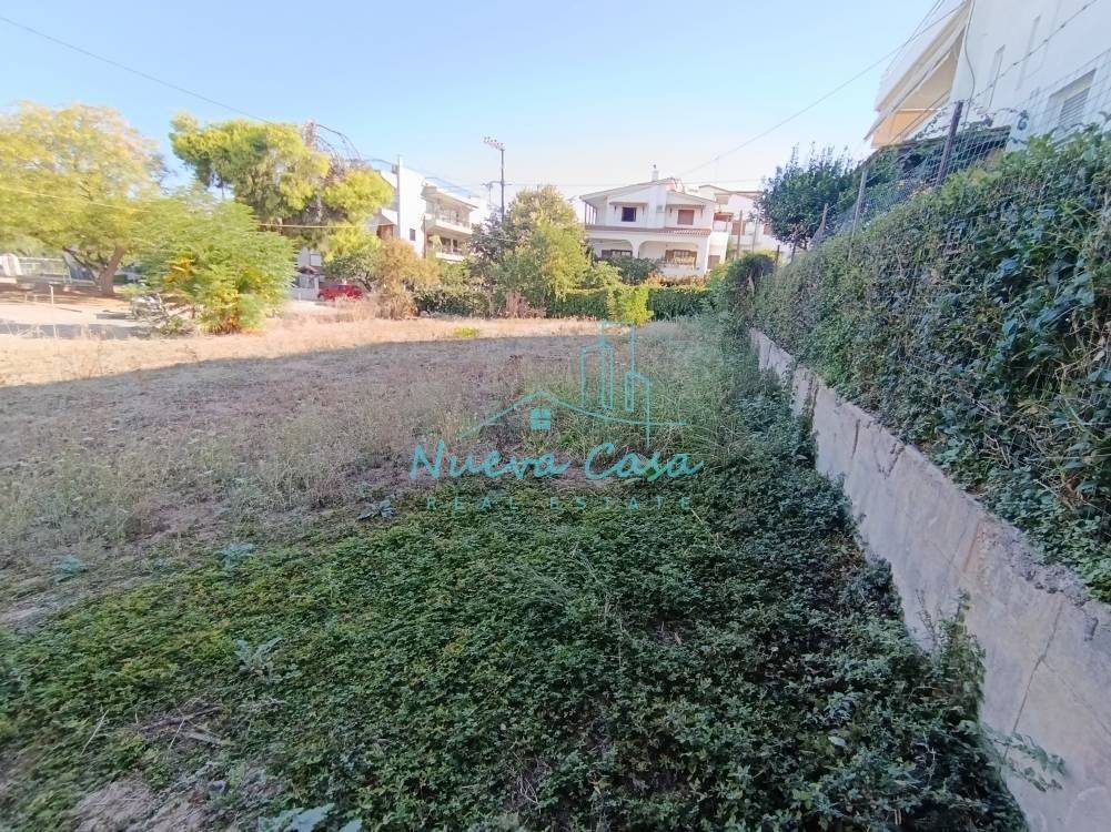 Άποψη χώρου